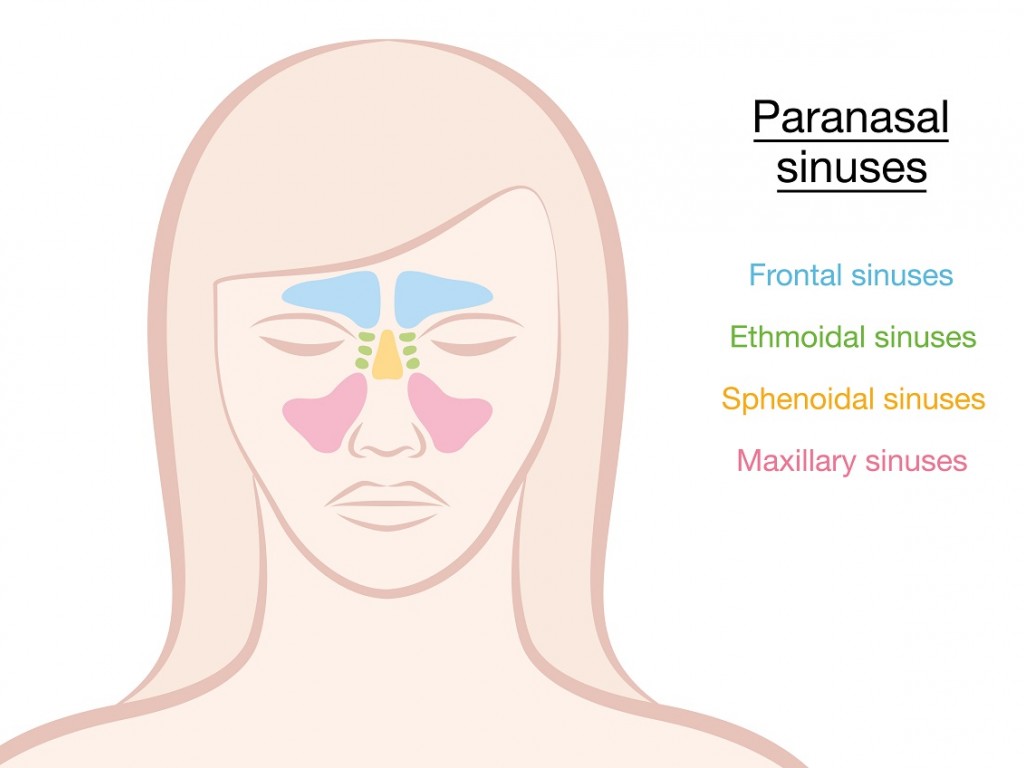 Why Does My Whole Head Hurt When My Sinuses Are Congested?